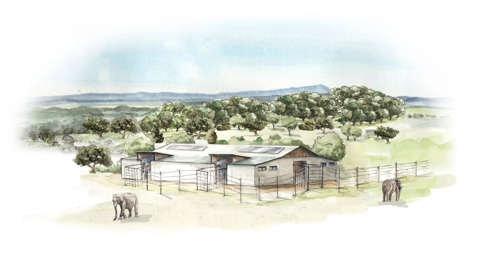 A Volta do Elefante — image 1